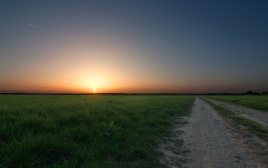 sunrise-over-horizon-grass-1280x800